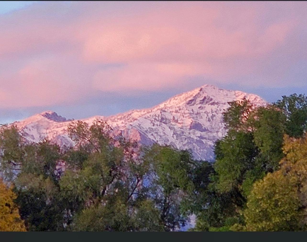 Wolf Creek Lodge Condo In Eden, Ut - Relaxing Mountain Retreat Exteriör bild