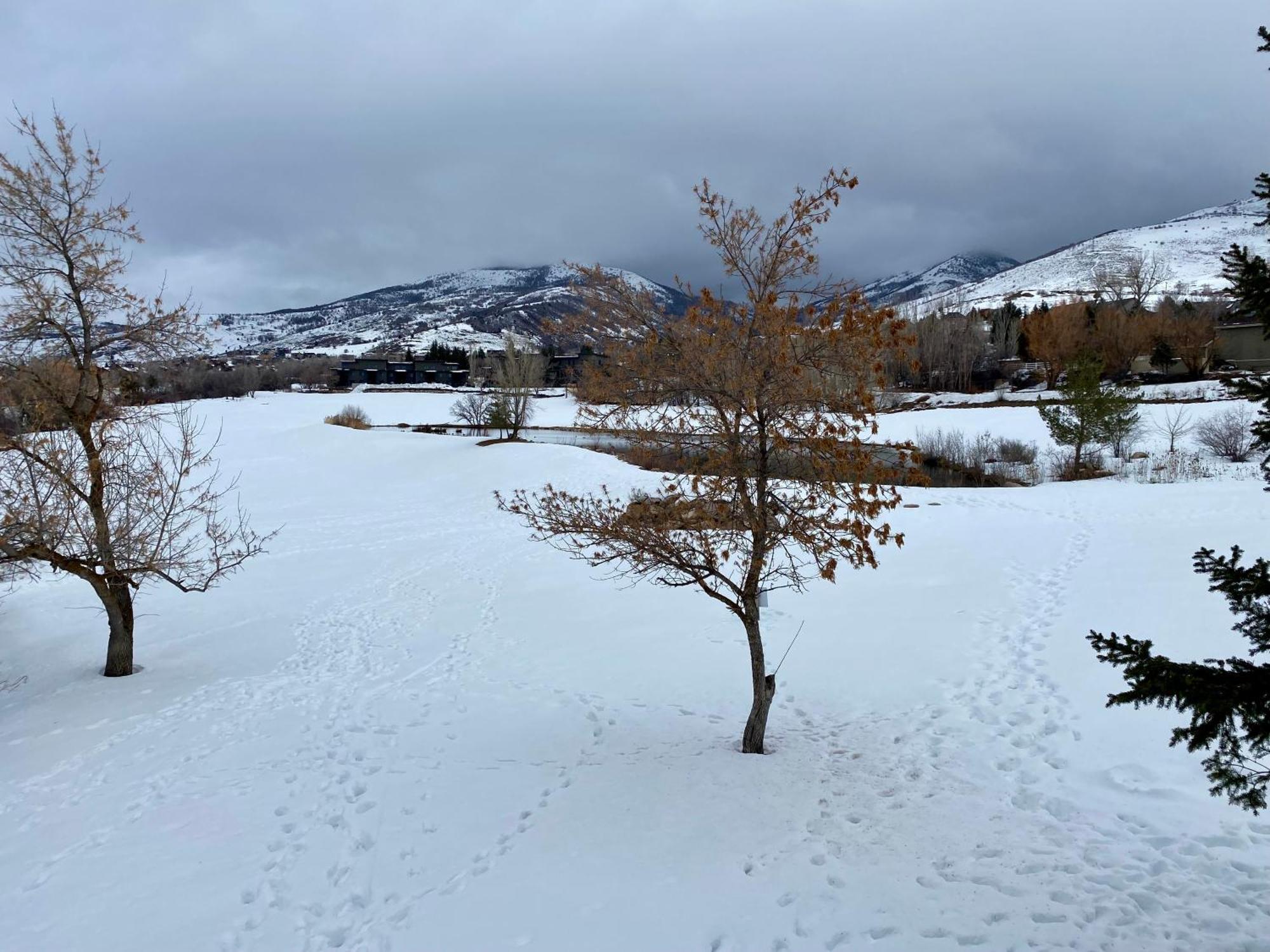 Wolf Creek Lodge Condo In Eden, Ut - Relaxing Mountain Retreat Exteriör bild