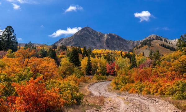 Wolf Creek Lodge Condo In Eden, Ut - Relaxing Mountain Retreat Exteriör bild